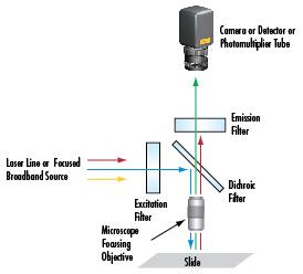 Giai photnics co. , ltd wdyaolu.com