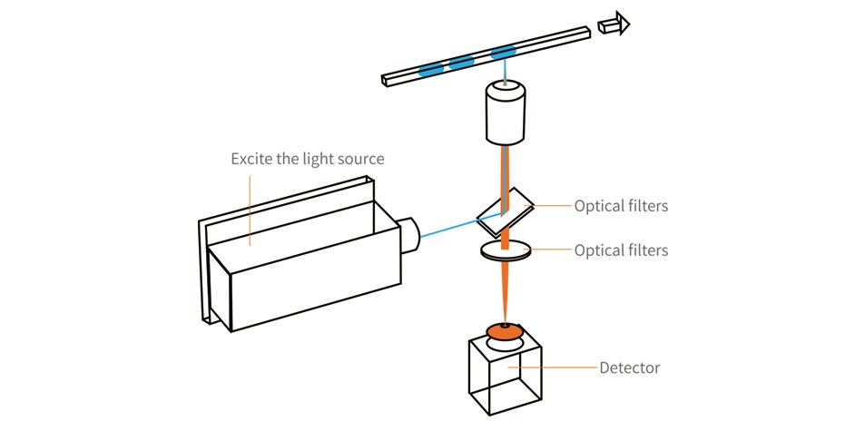 數(shù)字PCR光路圖 數(shù)字PCR光路圖