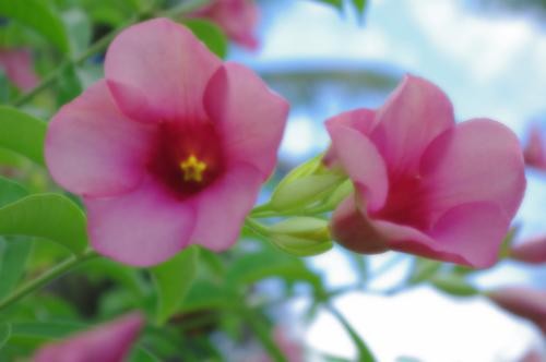 濾光片 享受數(shù)碼的樂(lè)趣賓得K-7數(shù)碼濾光鏡實(shí)拍(3)