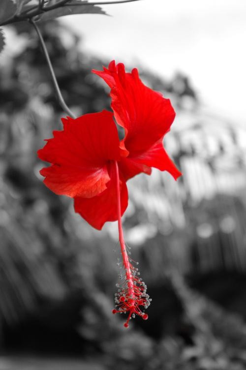 濾光片 享受數(shù)碼的樂(lè)趣賓得K-7數(shù)碼濾光鏡實(shí)拍(2)