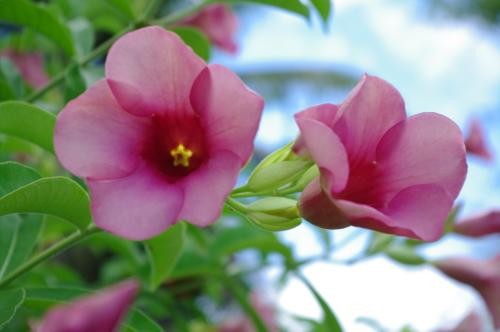 濾光片 享受數(shù)碼的樂(lè)趣賓得K-7數(shù)碼濾光鏡實(shí)拍(2)