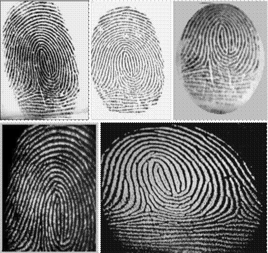 最早的指紋識(shí)別在中國--指紋識(shí)別發(fā)展史