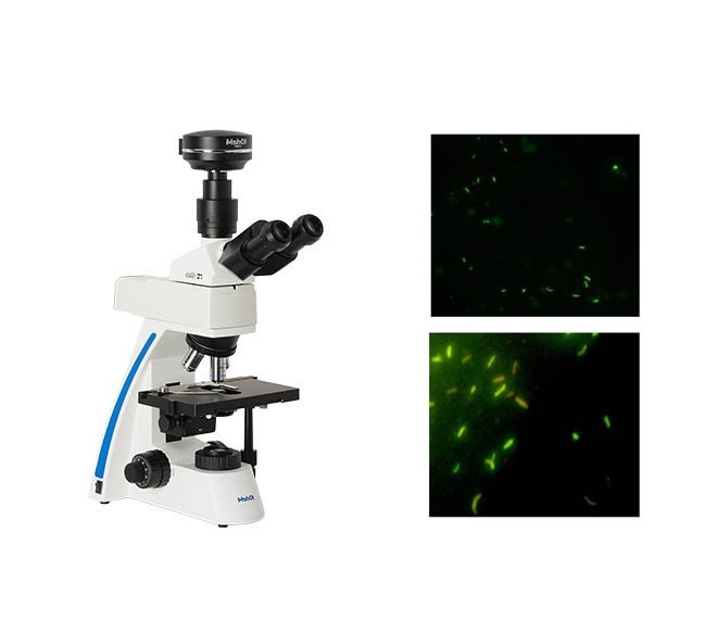 熒光檢測濾光片的原理及作用 熒光檢測濾光片的原理及作用