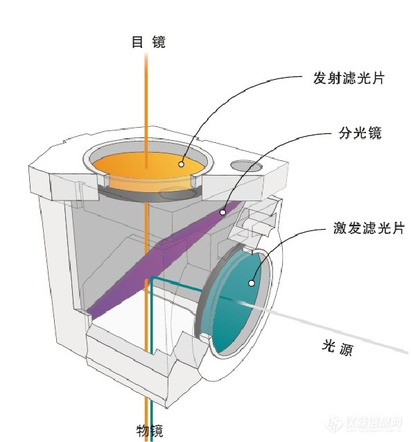 熒光成像結(jié)構(gòu) 熒光成像結(jié)構(gòu)