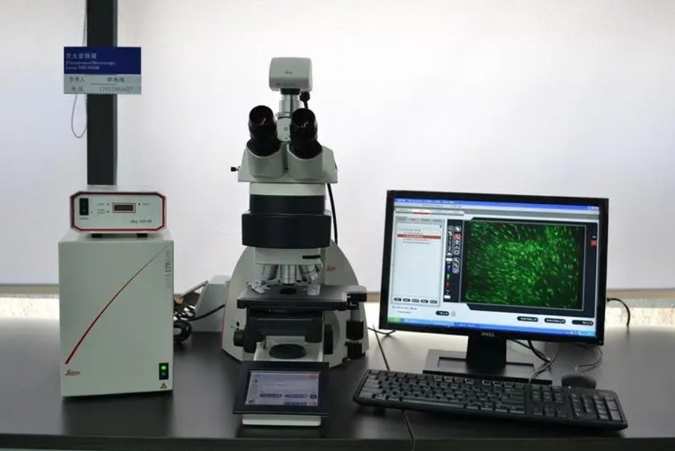 濾光片是如何決定顯微鏡成像性能的？