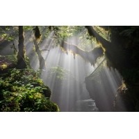 光的干涉、衍射、折射、反射、散射